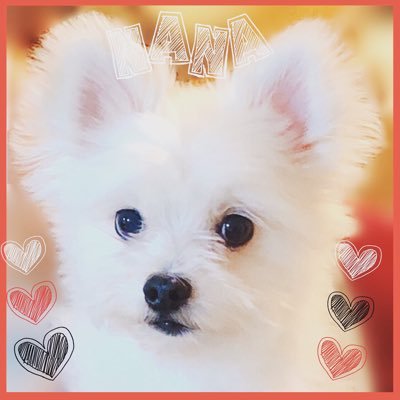 NANAさんのプロフィール画像