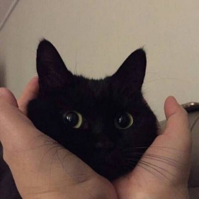 PRIDEHWA's profile picture. backup for @seongcherry