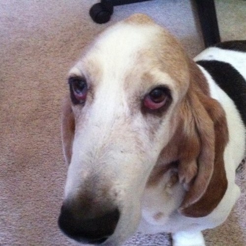 bs7500's profile picture. 