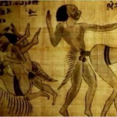 sevgili81267271's profile picture. 