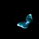 Paula Poe - @LotusBeez - Twitter