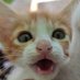 😻Kezar🕯️✨🪔 (@kezar3659) Twitter profile photo 😻Kezar🕯️✨🪔 (@kezar3659) Twitter profile photo