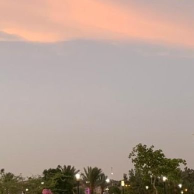 Yl8jTbq2sqDq1OY's profile picture. 