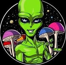 starship_mars's profile picture.