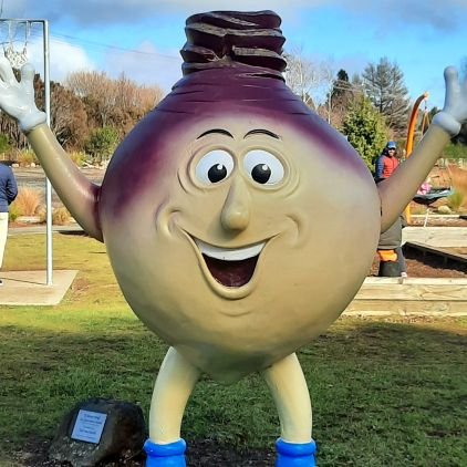 capes_nz's profile picture. 