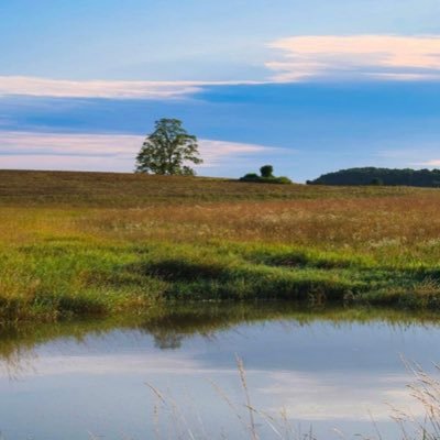 chrissy_field63's profile picture. professional