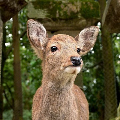 kondo627's profile picture. 