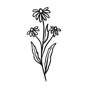 Tranquil Home & Body. 100% Soy Candles, Floral Prints & Cards, Botanical Soaps, Bath Bombs, Bath Teas & Bath Salts.
