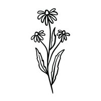 Chamomile Farms (@chamomilefarms) 's Twitter Profile