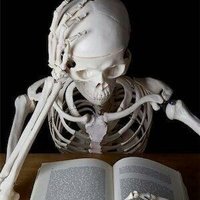 james (busy) (@bone_appt) 's Twitter Profile
