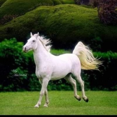 Brigitt62895906's profile picture. 