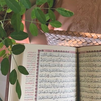 eeea1231's profile picture. واجعل جدتي من ورثة جنة النعيم يا الله. 🤍@eeaa22331 @aaae1231_