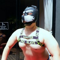 Watcher (@chubby_watcher) 's Twitter Profile