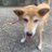 ひなきちのアイコン