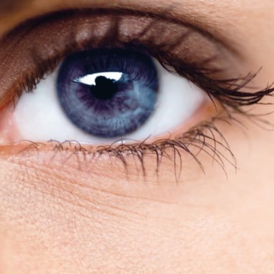 Scoteye2's profile picture. You know we are all wasting our time on here right?  Probably the plan.