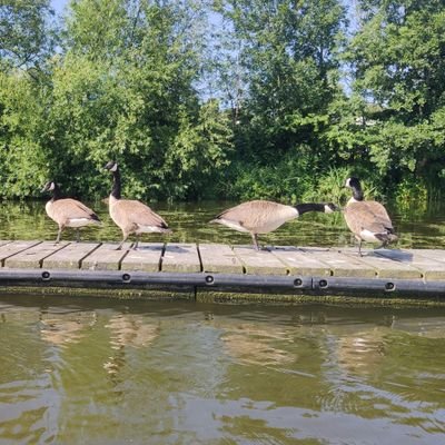 Lhrooh1's profile picture. just a reader