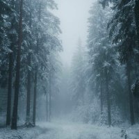 _mrzy95 (@ceymsallen) 's Twitter Profile Photo