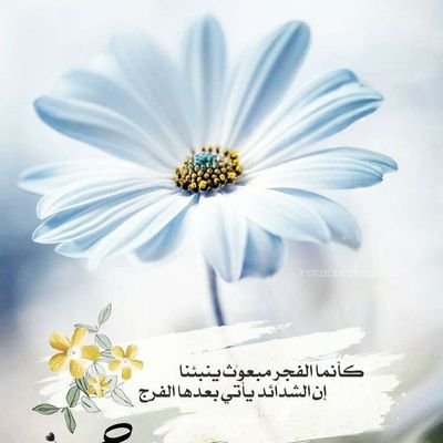 ‏استغفر الله وأتوب أليه