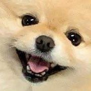 tsukiha_yuka's profile picture. はじめまして！