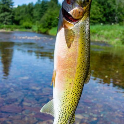 Friendly fisherman