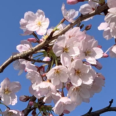 はるるさんのプロフィール画像