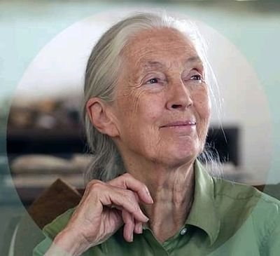 ValerianeMunoz's profile picture. 