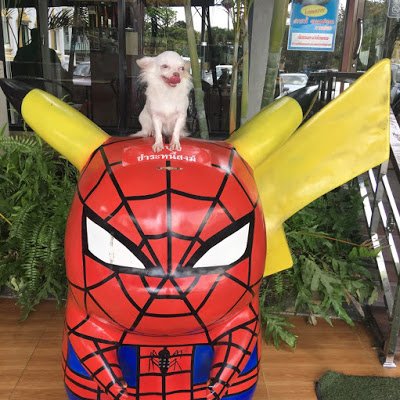 SWagkaw's profile picture. 