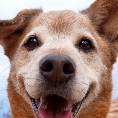 JessicaSaxton14's profile picture. My sense of humor