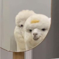 นะน้องนะ ||| (@markbamz2) 's Twitter Profile
