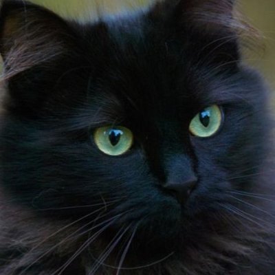margotschiessle's profile picture. 