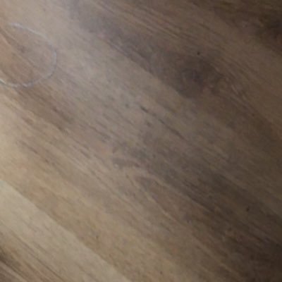 taraoleary2023's profile picture. 