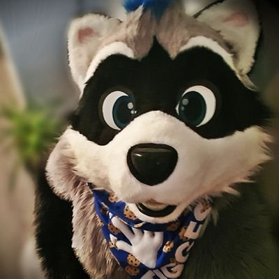 just a random coon from germany :D
Fursuit made by @schneecreations | 34yo | 🏳️🌈 |