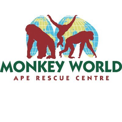 Monkey World- Ape Rescue Centre primate rescue centre, as seen on Monkey Life.
Post links found here: https://t.co/hu9VeLhZFa