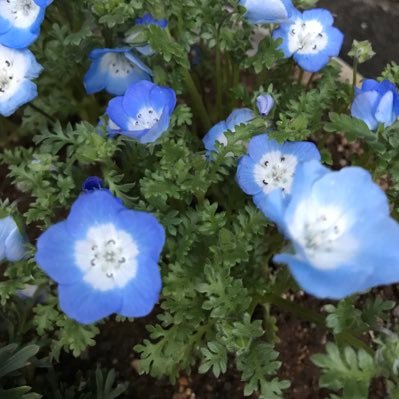 6siosainooto's profile picture. 成人済み腐⚠️とても雑多なアカウント