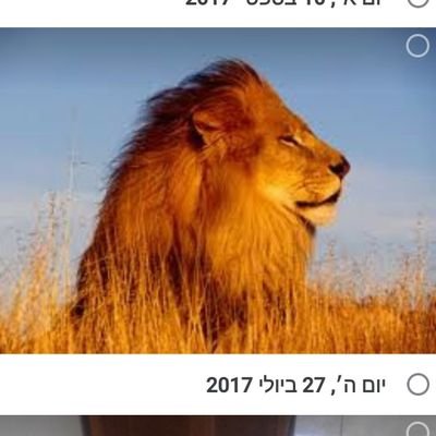 זוג מושלם יש רק בחנות נעליים
ולא כל יהודי שמגמגם הוא משה רבנו