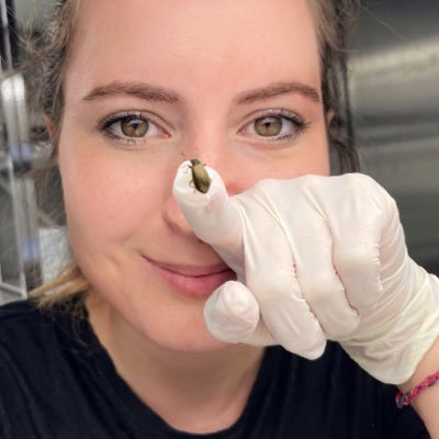 (she/her) 🐛🔬🦪 sliding from fluffy Lagria beetles into the marine symbiosis world of deep-sea mussels @MarineMicrobio