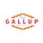 @VisitGallup