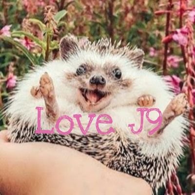 2moons2に はまって、6moons命🥑🍓🐺🌏🐢🍑 になりました🥰
J9大好きです💞
彼らの言葉を直接聞きたくて、タイ語勉強中です。2moons2 Onlyで お話書いてます😊
https://t.co/5pUgETgPV4