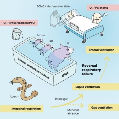 SalmoSangu's profile picture. Trader, Not a financial advisor, No paid group.
Be carefull with DM's.
#Bitcoin
