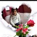 Guru Ji Ki Beti. ❤️ 11K (@gurujikibeti17) Twitter profile photo Guru Ji Ki Beti. ❤️ 11K (@gurujikibeti17) Twitter profile photo
