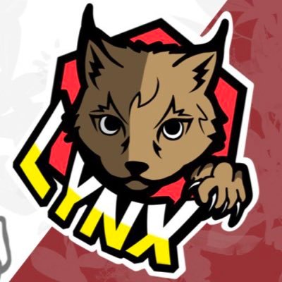 LYNX e-sports team 🇯🇵さんのプロフィール画像