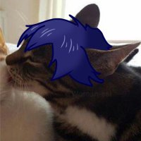 KITTY ๐ธ๐ต๐ช (@hlupyshit) 's Twitter Profile