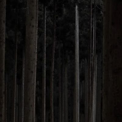 sivaさんのプロフィール画像