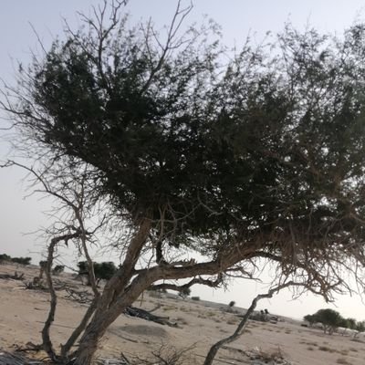 wxggednnidc's profile picture. 