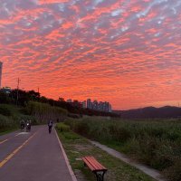Reyu (@reyu_libs) 's Twitter Profile