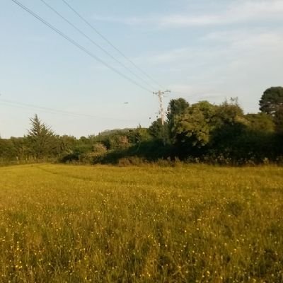 tescocore's profile picture. moved