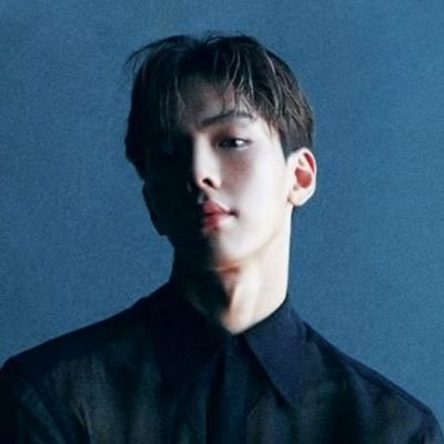 누아르さんのプロフィール画像