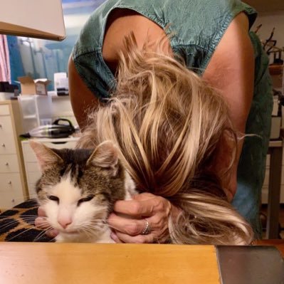 Lisa88813295's profile picture. je hoeft me niet te volgen. ik lees hier alleen. ☀️