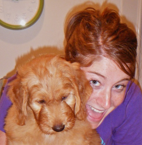 abibins's profile picture. 