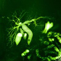 Fabrizio Urraro (@fabriziourraro) 's Twitter Profile